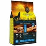 Ambrosia Grain Free Adult Lamb & Salmon 2KG