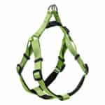 Glee Σαμαράκι Neoprene Lime S 16MM X 41 CM-51CM
