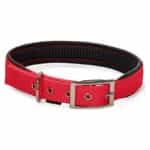 Glee Κολάρο Neoprene Red L 25MM X 66CM