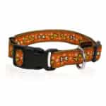 Pet Interest Κολάρο Cute Bones Orange XS 1,5CM X 19 CM-33CM