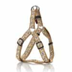 Pet Interest Σαμαράκι Dog Harness A Cute Bones Beige XS 1,5CM X 25-35CM
