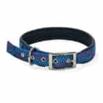 Glee Κολάρο Neoprene με Σχέδιο Μπλε L 25MM X 61CM