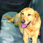 Pawise Κάλυμμα καθίσματος αυτοκινήτου 110 x 130cm