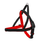 Glee Σαμαράκι Norwegian Red S-M 36(38-50)cm