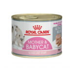 Royal Canin Mother & Babycat Mousse 195gr