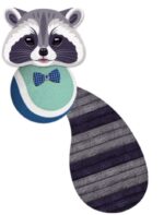 Παιχνίδι Σκύλου Raccoon με Μπάλακι Τενις 13cm